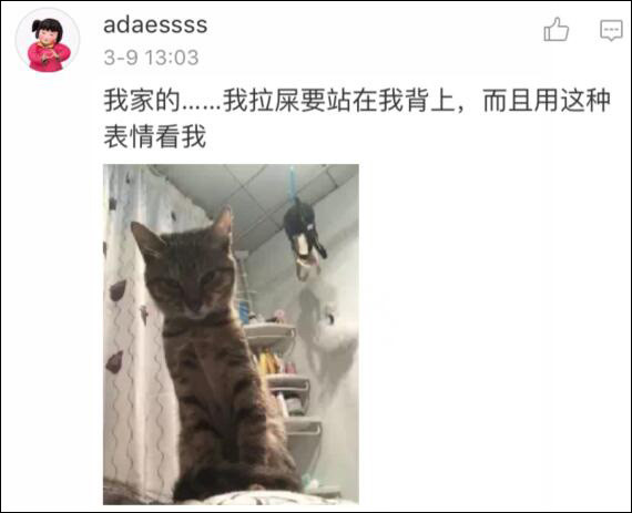 澳门新葡澳京