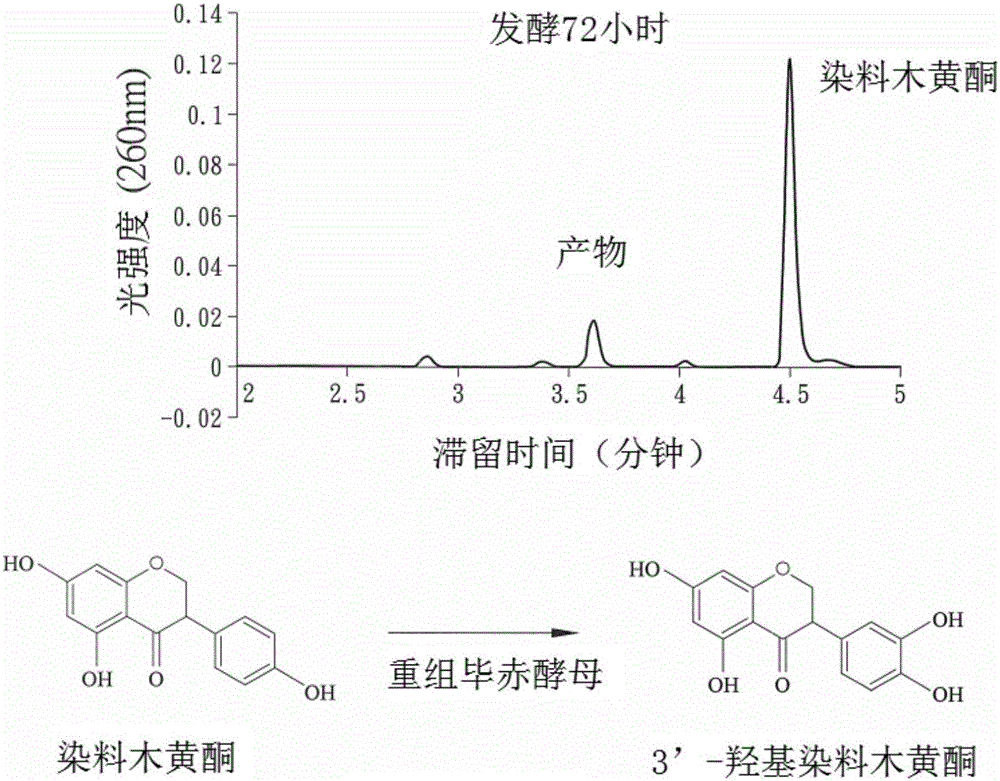 澳门新葡澳京官网